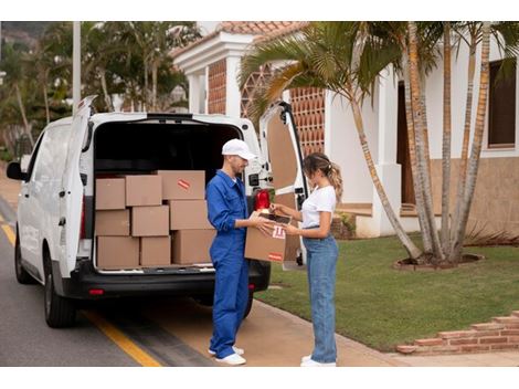 Serviço de Entrega com Vans em Amparo