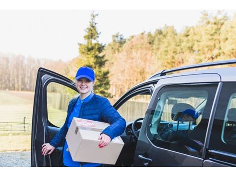 Empresa de Logística com Carro de Passeio no Tremembé