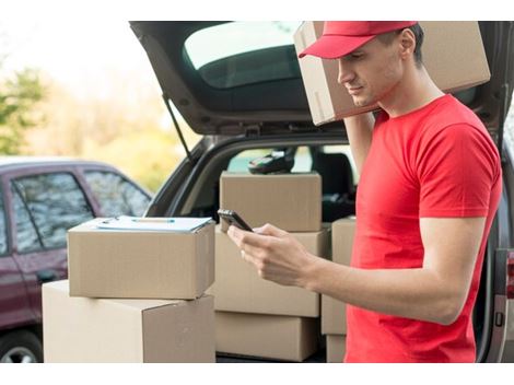 Empresa de Entrega com Carro de Passeio Próximo a Goiânia